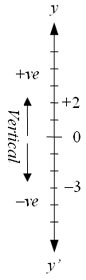 vertical coordinate line along the path of the body